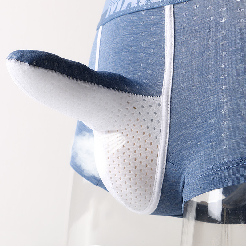 Men's Ice Silk Boxer Briefs, B - مراجعة Mesh Sport Boxer وسعره