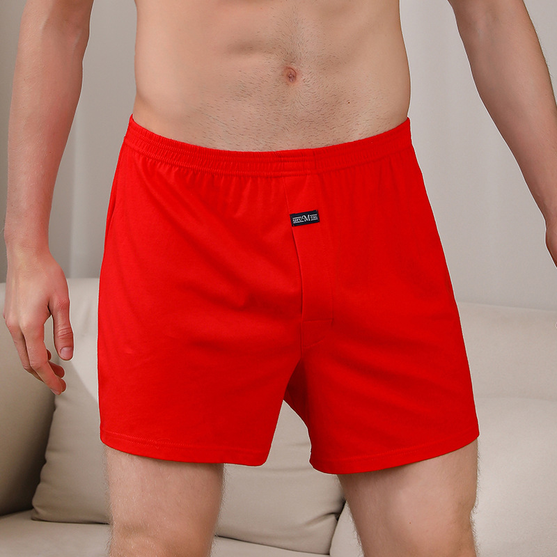 1PCS Men's Underwear Aro Pants - مراجعة Boxer Brief Pack Cotton وسعره