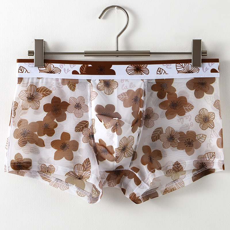 Ultra Thin Transparent Ice Sil - مراجعة Mesh Sport Boxer وسعره