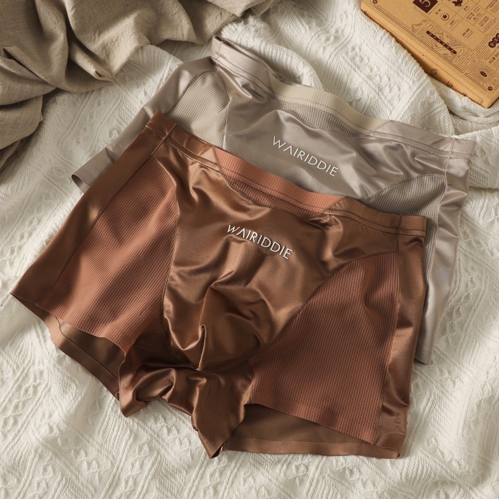 Simple Mesh Ice Silk Underwear - مراجعة Mesh Sport Boxer وسعره